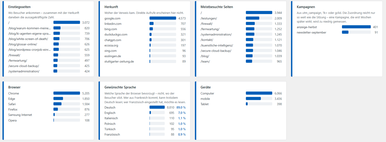 Weitere Teile der Auswertung: Einstiegsseiten, Herkunft der Besucher, meistbesuchte Seiten, Kampagnen, Browser, gewünschte Sprache und Geräte.